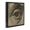 Stupell Industries Franklin's Gaze Eye Floating Frame, design by Svetlana Aleynikova